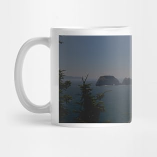 850_6228 Mug